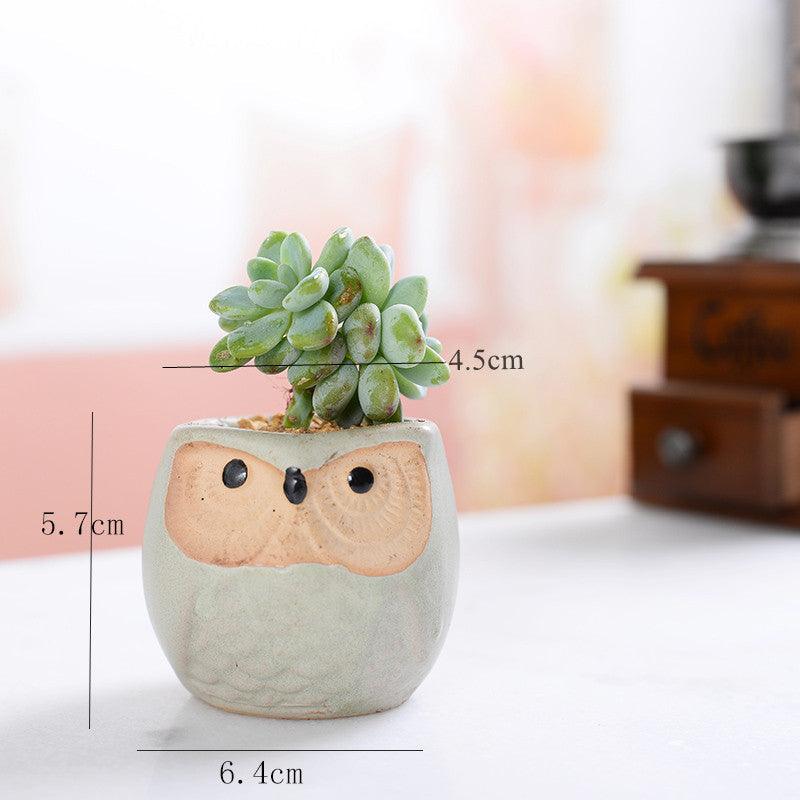 6-Piece Mini Owl Ceramic Succulent Planter Pots