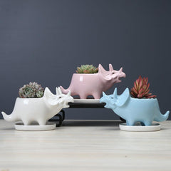 Cute Dinosaur Succulent Planter Pot with Drainage Tray