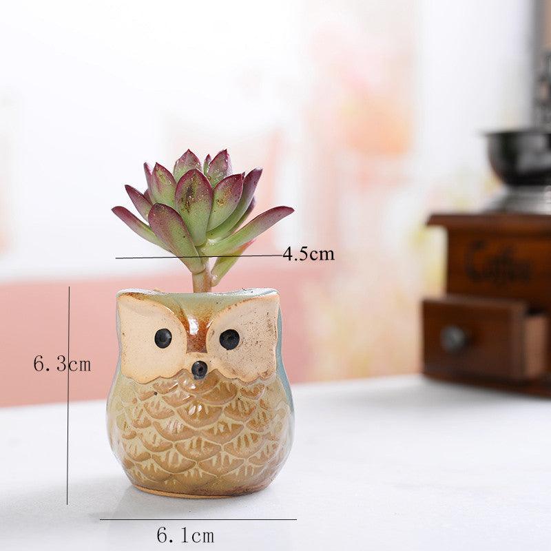 6-Piece Mini Owl Ceramic Succulent Planter Pots