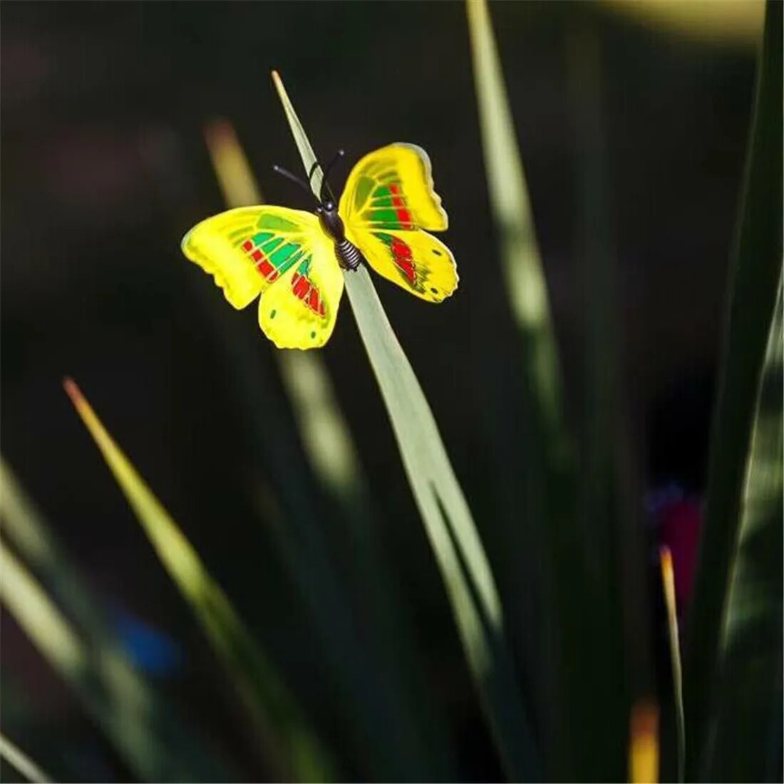 3D Butterfly Wall Stickers