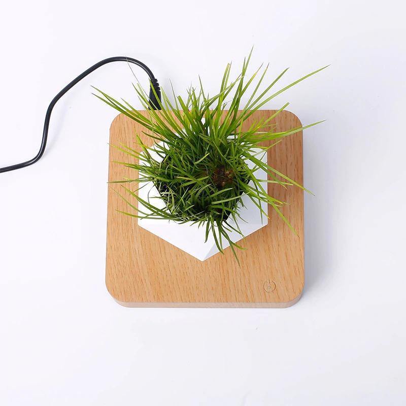 Magnetic Levitating Planter