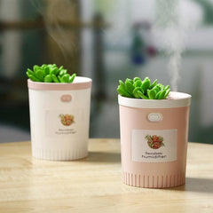 Mini Succulent USB Humidifier